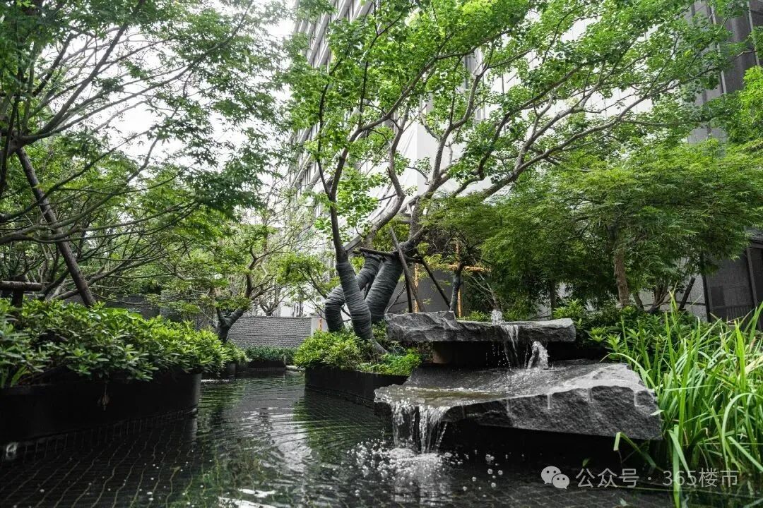 突发新政!刚刚央行宣布:首付比例下调!(图7)