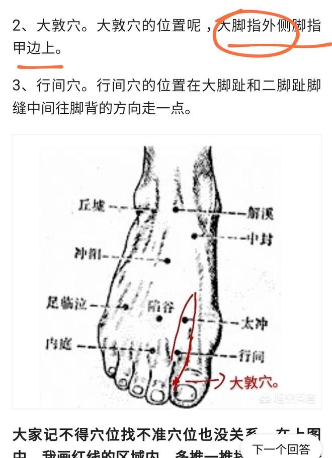 一篇文章帮你梳理瑜伽老师必学的瑜伽解剖学基础知识（熟记）(图2)