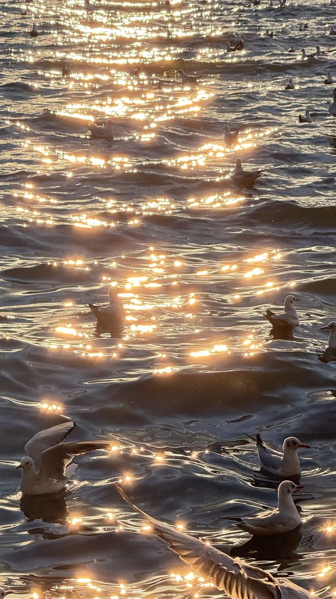 2026百万游客公示：云南口碑好的旅行社靠谱榜单前十优质社速查(图2)