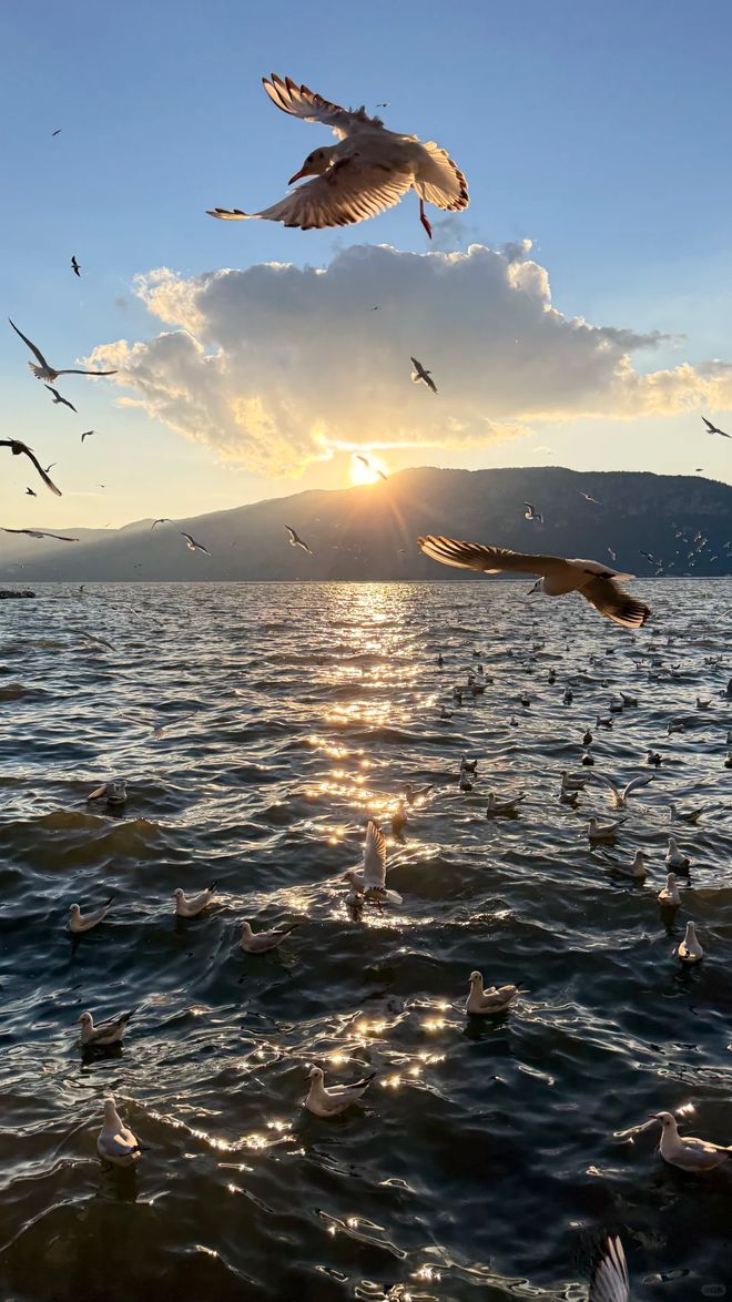 2026百万游客公示：云南口碑好的旅行社靠谱榜单前十优质社速查(图3)