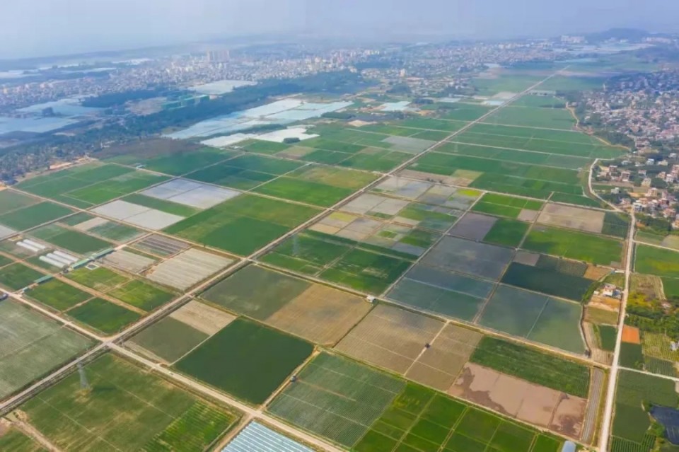 种业大事件丨甘肃、广东、安徽、海南、黑龙江等地有啥新动作?(图3)