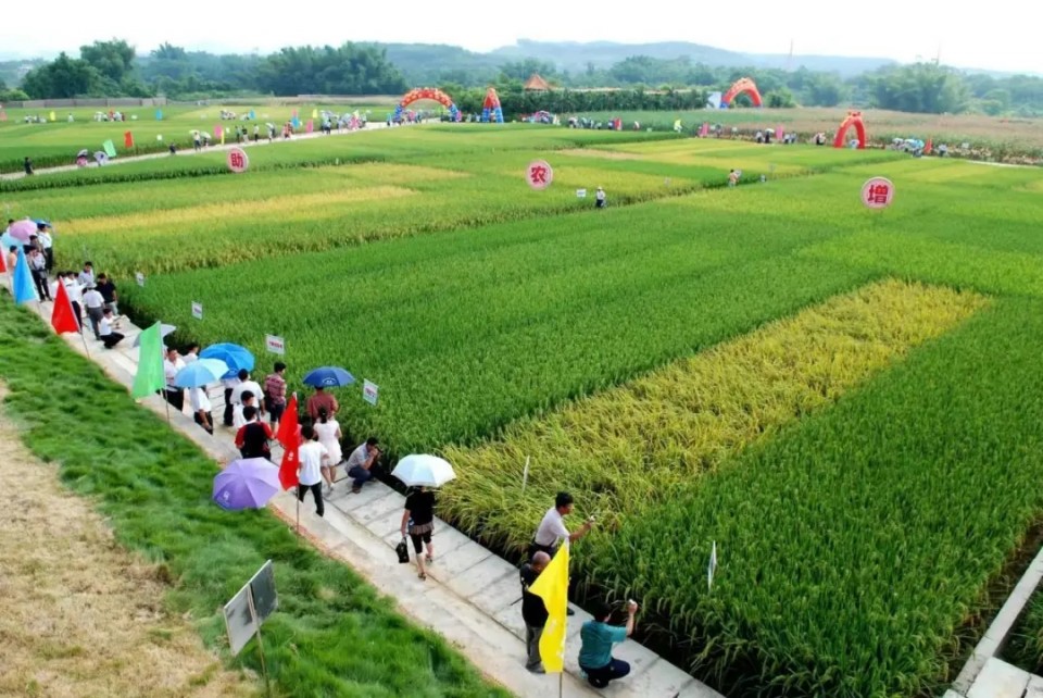 种业大事件丨甘肃、广东、安徽、海南、黑龙江等地有啥新动作?(图5)