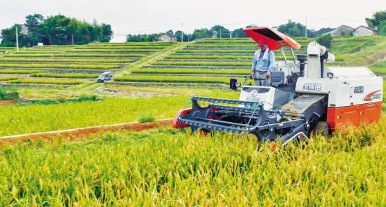 种业大事件丨甘肃、广东、安徽、海南、黑龙江等地有啥新动作?(图6)