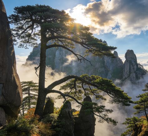 黄山5天4晚正念瑜伽+自然声音疗愈黄山能量场静修(图1)