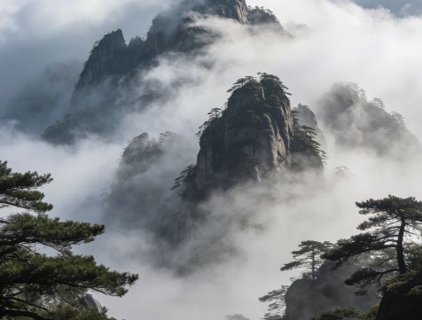 黄山5天4晚正念瑜伽+自然声音疗愈黄山能量场静修(图4)