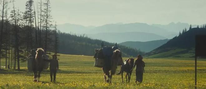 北上广疯抢天价奶皮子内蒙人看了又气又笑(图1)