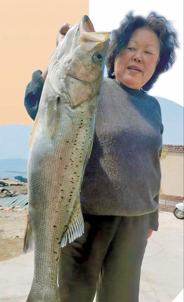 青岛银发经济：“养老”到“享老”的场景之变(图4)